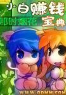 Novice's Guide to Making Money