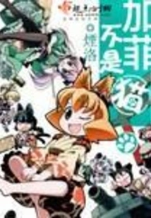 Garfield is Not a Cat