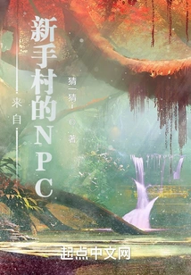 Npc from Novice Village