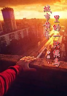 A Migratory Bird in the City Dusk