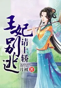 Princess, Don't Run Away, Please Get in the Sedan