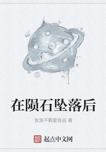 After the Meteorite Fell