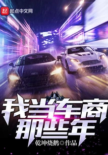 During My Years as a Car Dealer