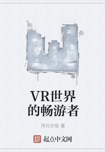 A Traveler in the Vr World