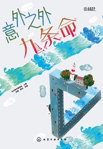 Beyond the Accident: Nine Lives