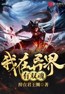 I Have Two Souls in Another World