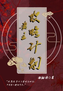 The Wife's Strategy Plan