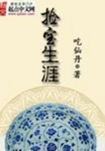 Treasure Hunting Career