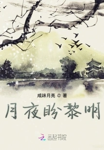 Moonlight Night Longing for Dawn