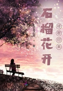 Pomegranate Flowers Are Blooming, Waiting for Your Return