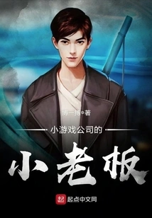 The Boss of a Small Game Company