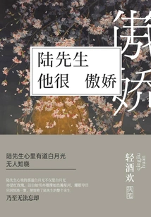 Mr. Lu is Very Arrogant