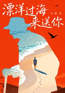 Across the Ocean to Send You Away (original Work of "across the Ocean to Send You Away" Starring Fu Hang and Chen Yongsheng)