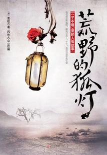 Fox Lantern in the Wilderness