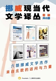 Norwegian Modern and Contemporary Literature Translation Series (set of 6 Volumes in Total)