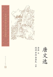 Tang Wenxuan