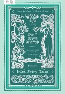 Irish Celtic Mythology (master Illustrated Edition)