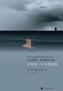 The Future is a Gray Seagull (plath's Work)