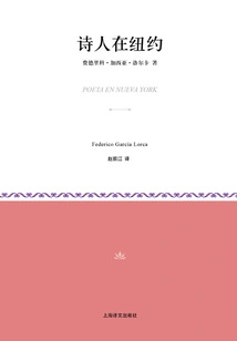 Poets in New York (little Classic Series)