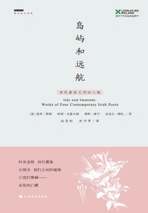 Islands and Voyages: Selections from Four Contemporary Irish Poets