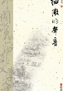 A Subtle Voice (chinese Contemporary Western Literature Library)