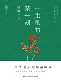 A Moment in Life: the Hidden Universe