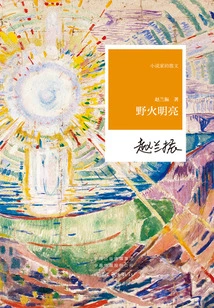 Wildfire Bright (essays by Novelist)