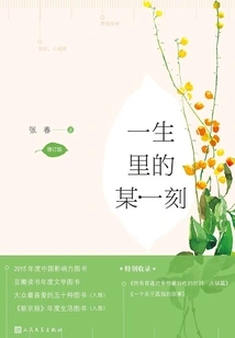 A Moment in Life (enhanced Version)