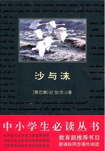 Sand and Foam (a Must-read Series for Primary and Secondary School Students)