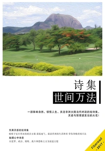 Collection of Poems: Everything in the World