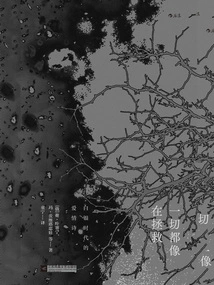 Everything Feels Like a Salvation: Love Poems from the Silver Age