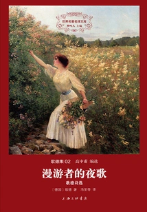 Wanderer's Night Song