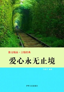 Love Never Ends (excellent Prose·romance Classic)