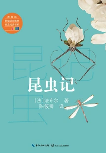Insect Diary