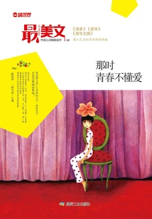 At That Time, Youth Did Not Understand Love