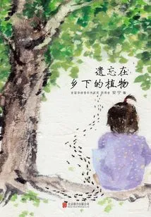 Plants Forgotten in the Countryside