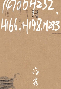 Seeing People Through Things: Essays on Shallow Archeology and Non-archaeology