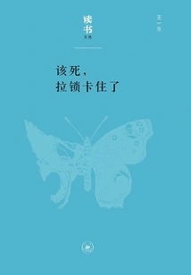 Damn It, the Zipper is Stuck (reading Series)