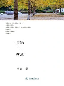 Silver Falls to the Ground