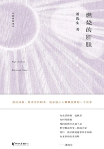 Burning Liver and Gallbladder