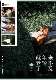 It's Too Late to Be Young and You'll Be Old