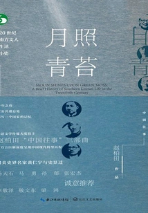 The Moon Shines on the Moss: a Brief History of the Life of Southern Literati in the 20th Century