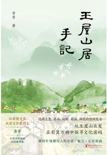 Notes from Wangwu Mountain Residence