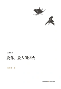 Love You, Love the Fireworks in the World