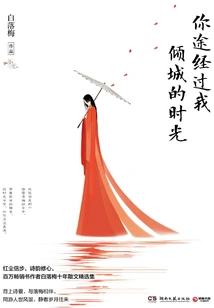 You Passed by My Charming Time