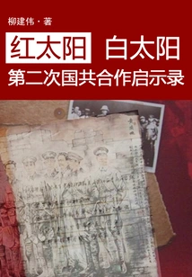 Red Sun, White Sun: the Revelation of the Second Kmt-ccp cooperation