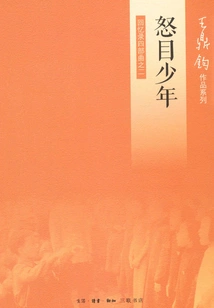 The Angry Eyed Boy: Memoirs Part Two