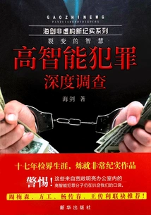 High-intelligence Crime In-depth Investigation