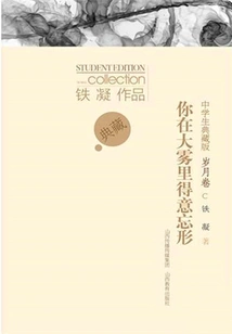 You Get Carried Away in the Fog