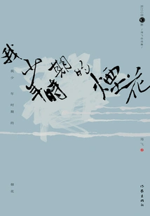 Fireworks of My Boyhood: Hai Fei's Selected Works